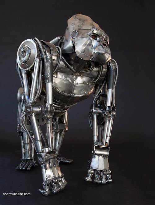 Gorilla by Andrew Chase