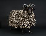 James Corbett sheep